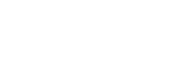 SLX